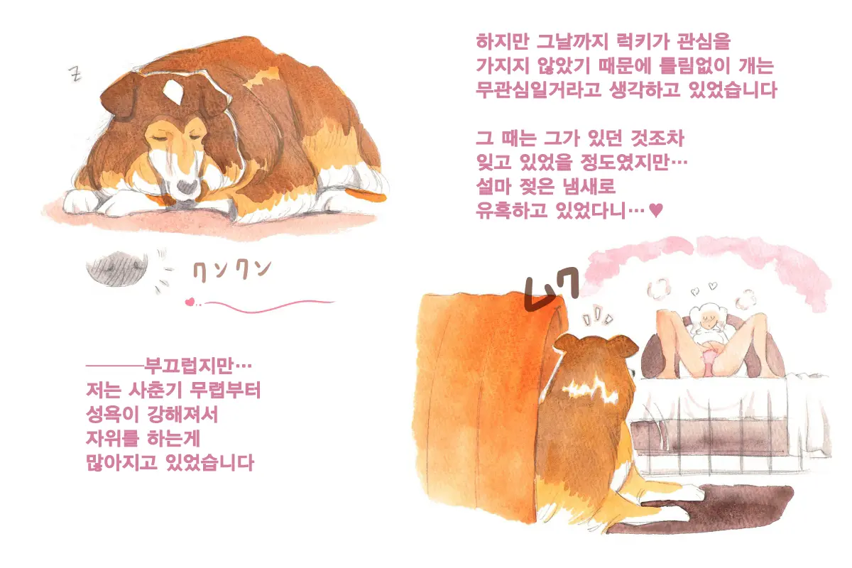 Himitsu No Inukko Club Sweet | 비밀의 강아지 클럽 Sweet